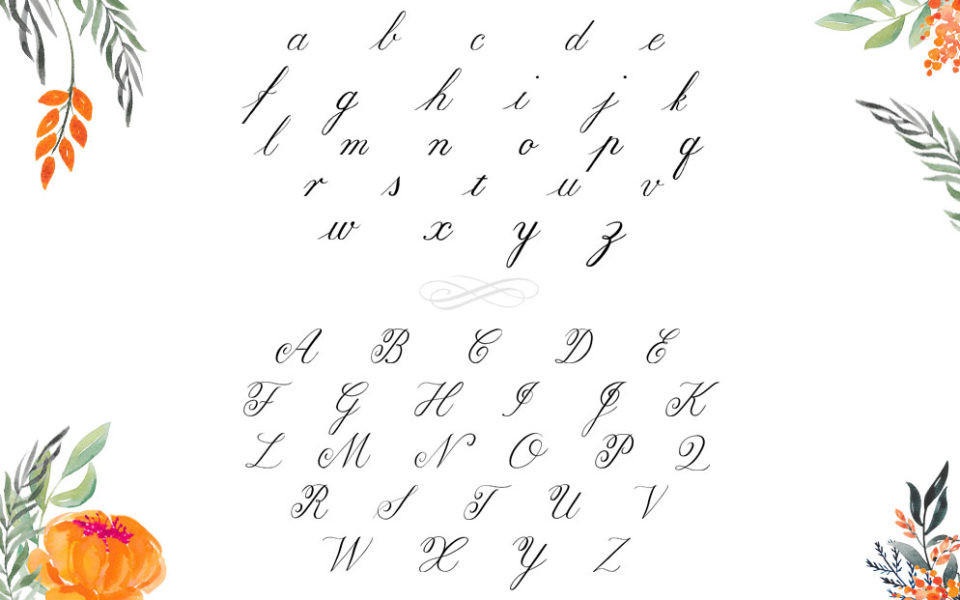 learn-copperplate-calligraphy-on-the-ipad-with-procreate-ipad-calligraphy