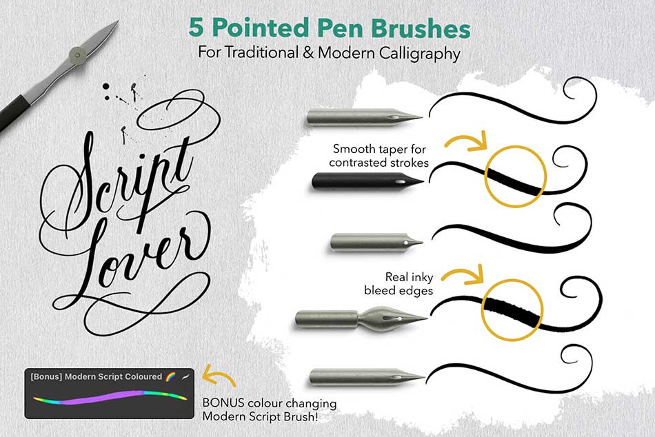 Essentials for Lettering in Procreate - Pointed Pen Brushes