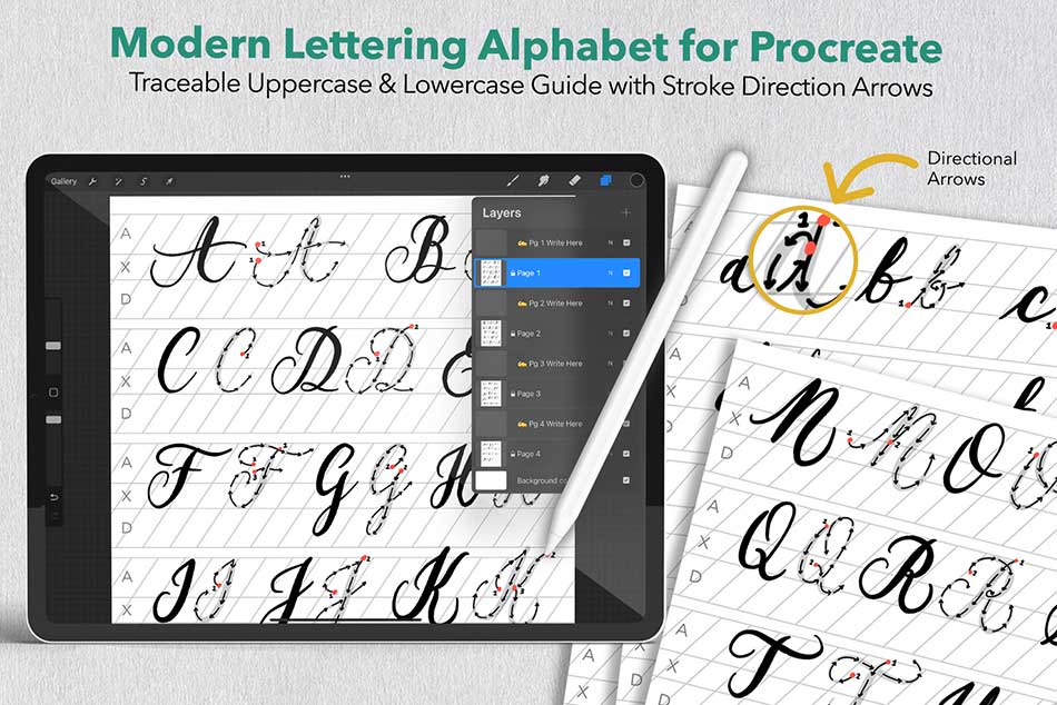 Essentials for Lettering in Procreate - Modern Lettering Alphabet