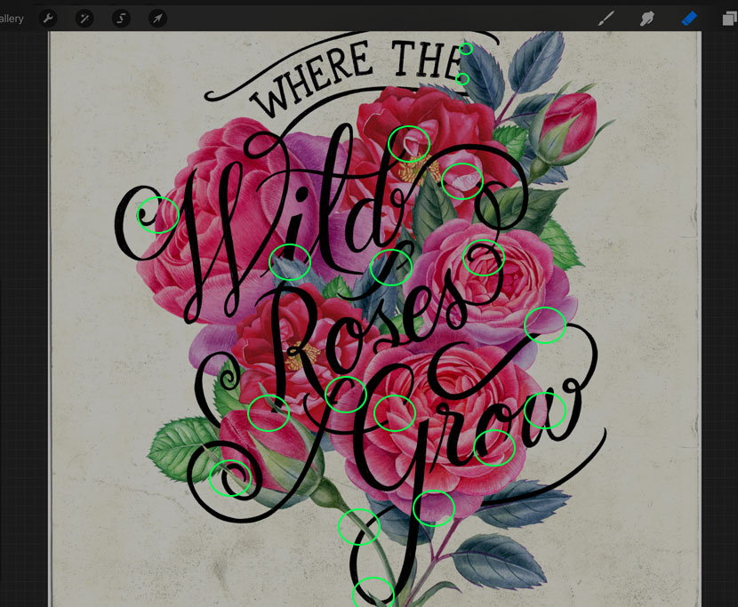 How to Integrate Lettering with Illustrations Tutorial