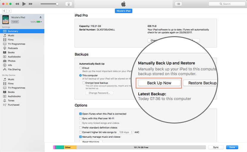 How to manually run an iTunes Backup for your iPad