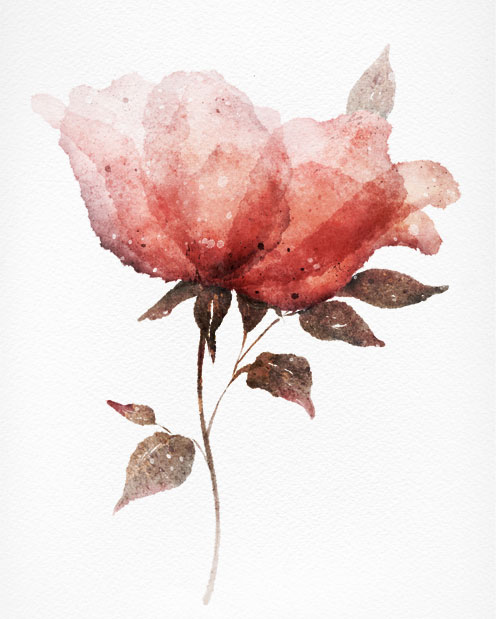 Make this watercolor rose in Procreate