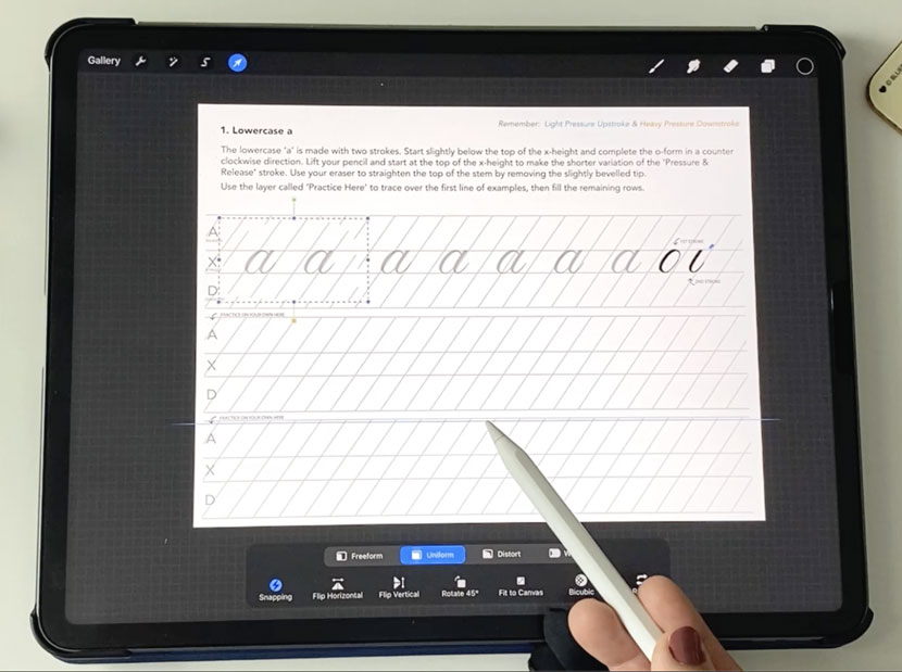 Left handed calligraphy guide for procreate