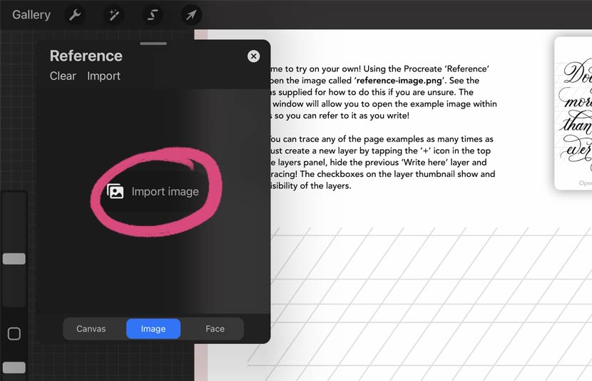 Procreate Reference Window - import image