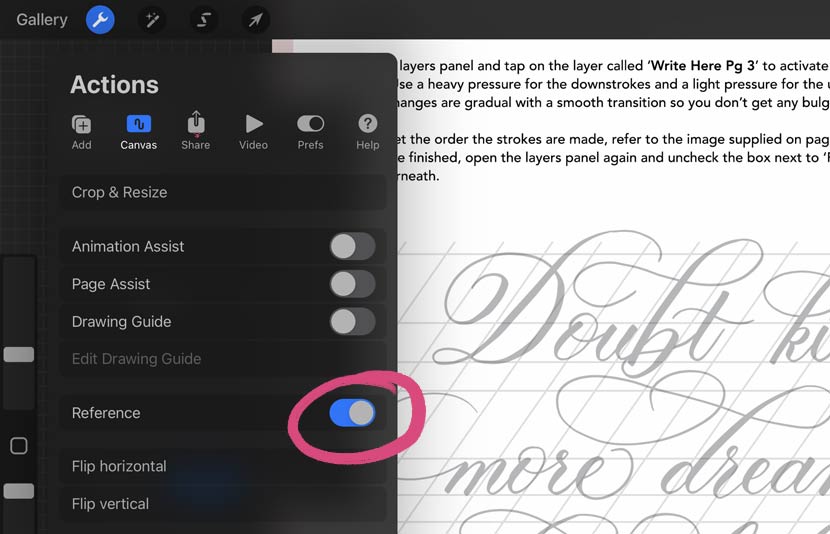 Open Procreate Reference Image Window