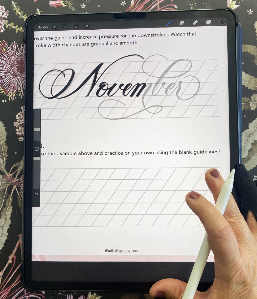 November Flourishing Practice for Procreate